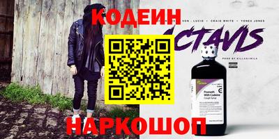 МДПВ Кингисепп